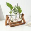 mothers day gifts-Desktop Glass Planter Bulb Plant Terrarium with Wooden Stand