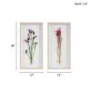 Avant Garden Dried Flower 2-piece Shadow Box Wall Decor Set