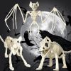 Spook Up Your Halloween Decor with This Vivid Bat Skeleton Model