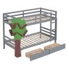 Twin-Over-Twin Bunk Bed with a Tree Decor and Two Storage Drawers