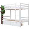 Twin-Over-Twin Bunk Bed with a Tree Decor and Two Storage Drawers