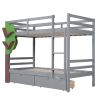 Twin-Over-Twin Bunk Bed with a Tree Decor and Two Storage Drawers