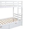 Twin-Over-Twin Bunk Bed with a Tree Decor and Two Storage Drawers