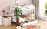 Twin-Over-Twin Bunk Bed with a Tree Decor and Two Storage Drawers